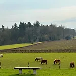 Bungalowpark Landsrade Hébergement de vacances