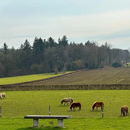 Bungalowpark Landsrade Prázdninový dům