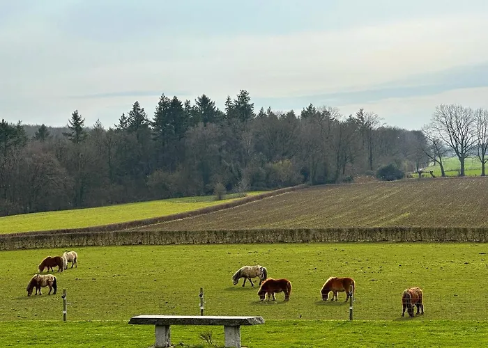Bungalowpark Landsrade בית נופש